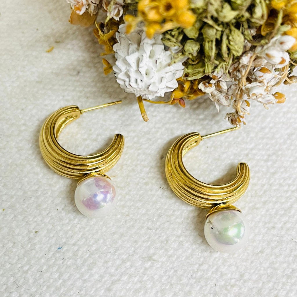 Stainless steel earrings