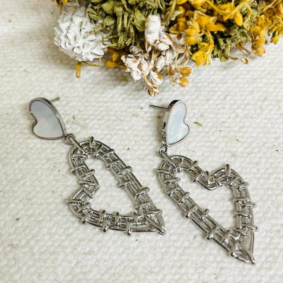Stainless steel earrings