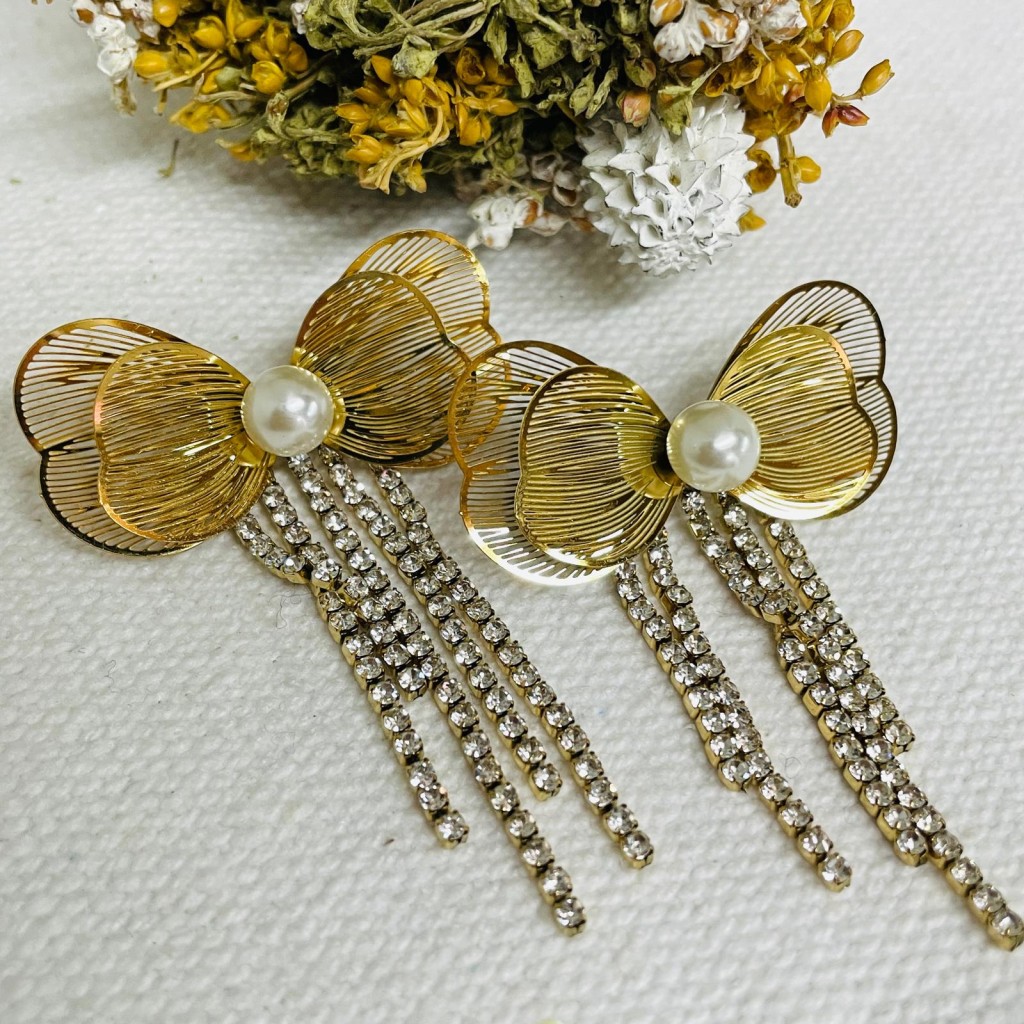 Earrings stainless steel