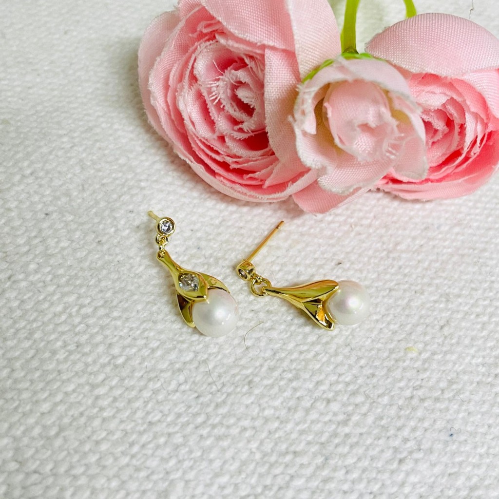 Earrings stainless steel