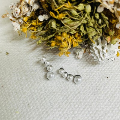 Earrings stainless steel