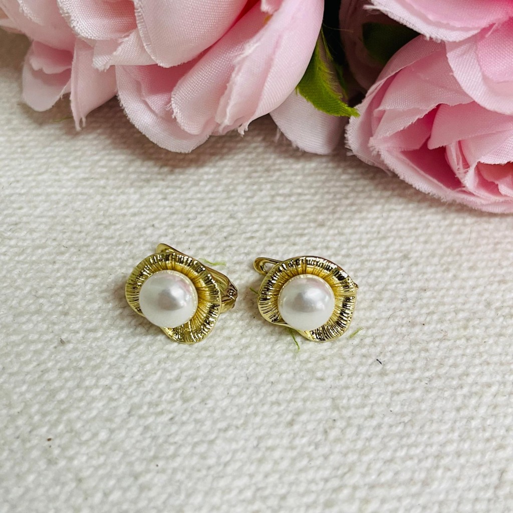 Earrings stainless steel