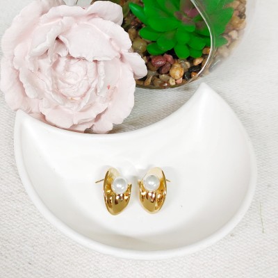Earrings stainless steel