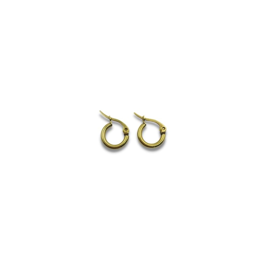 Stainless steel hoop earrings