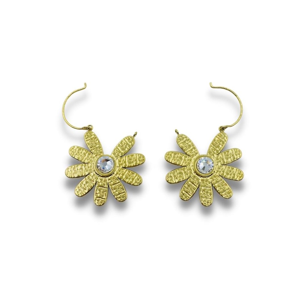 Stainless steel hoop earrings