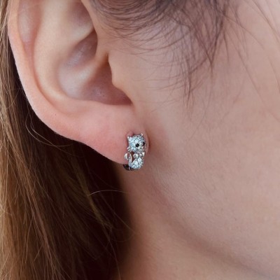 Stainless steel hoop earrings