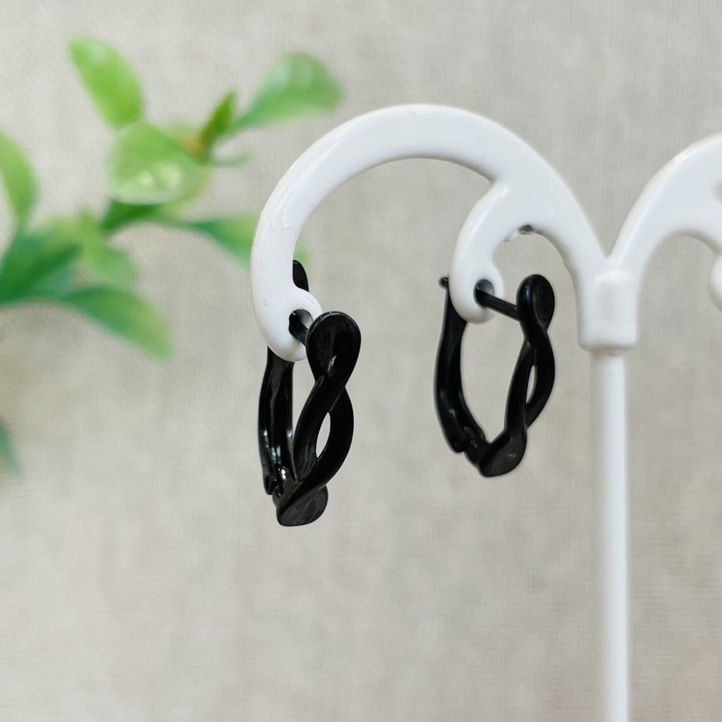 Stainless steel hoop earrings
