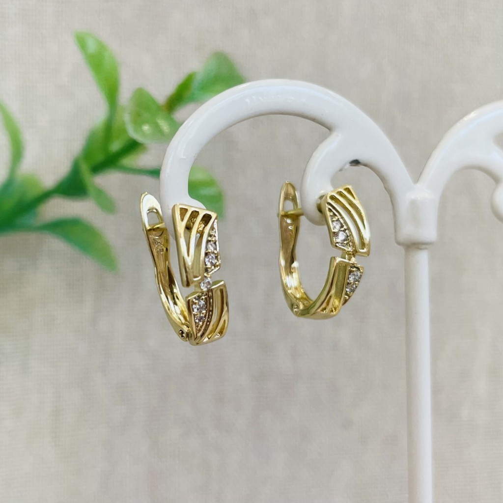 Stainless steel hoop earrings