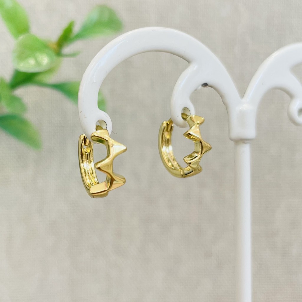 Stainless steel hoop earrings