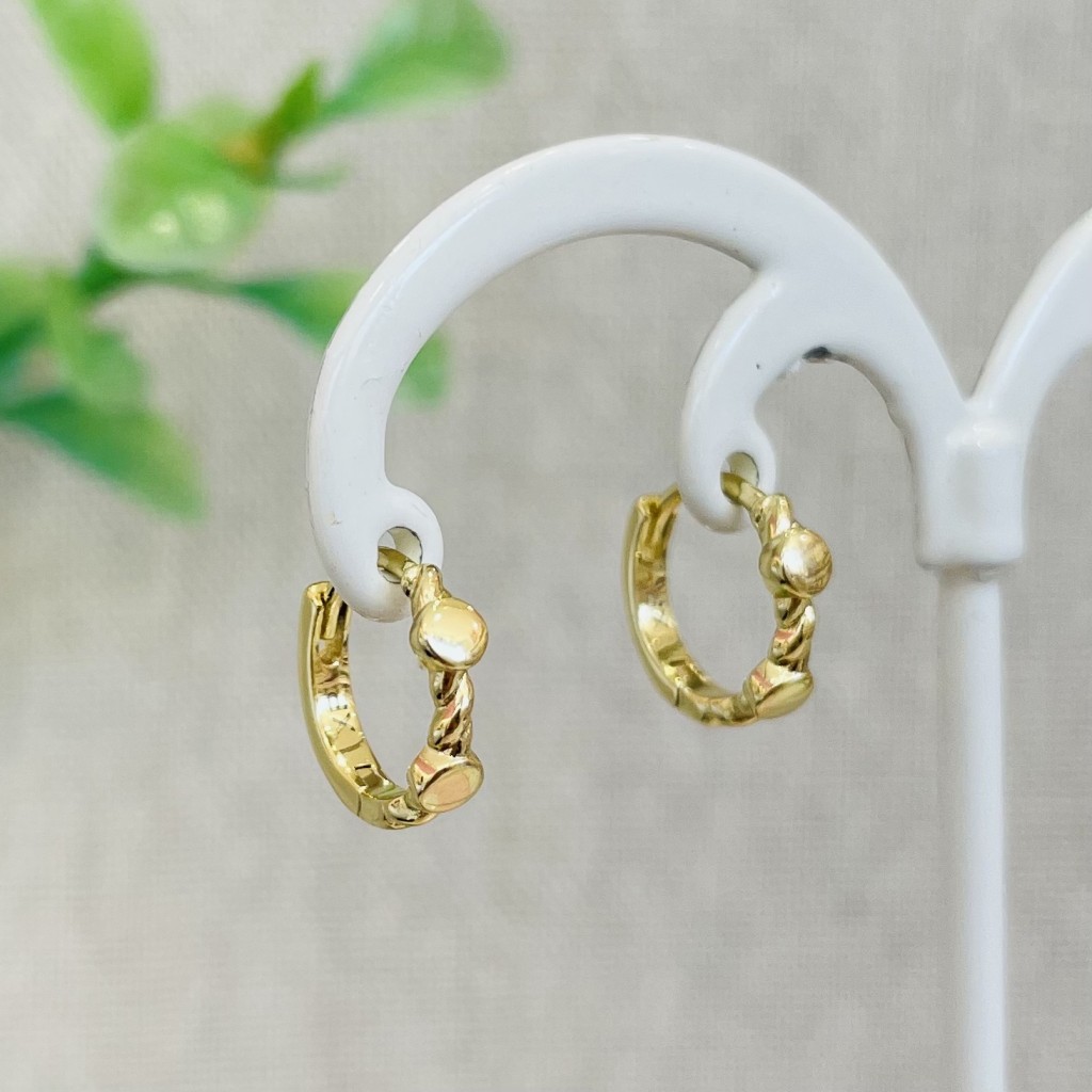 Stainless steel hoop earrings