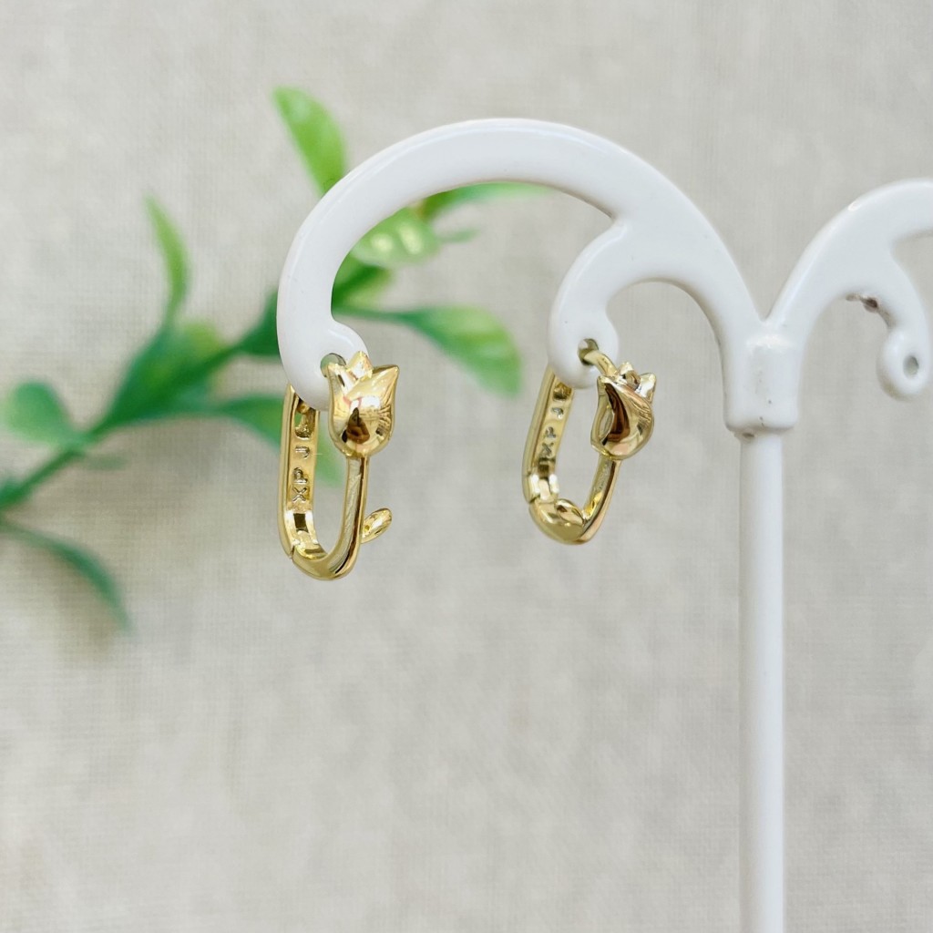 Stainless steel hoop earrings