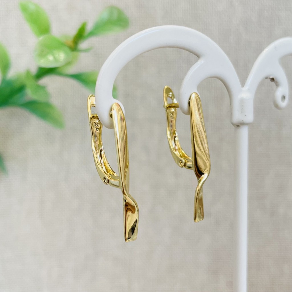 Stainless steel hoop earrings
