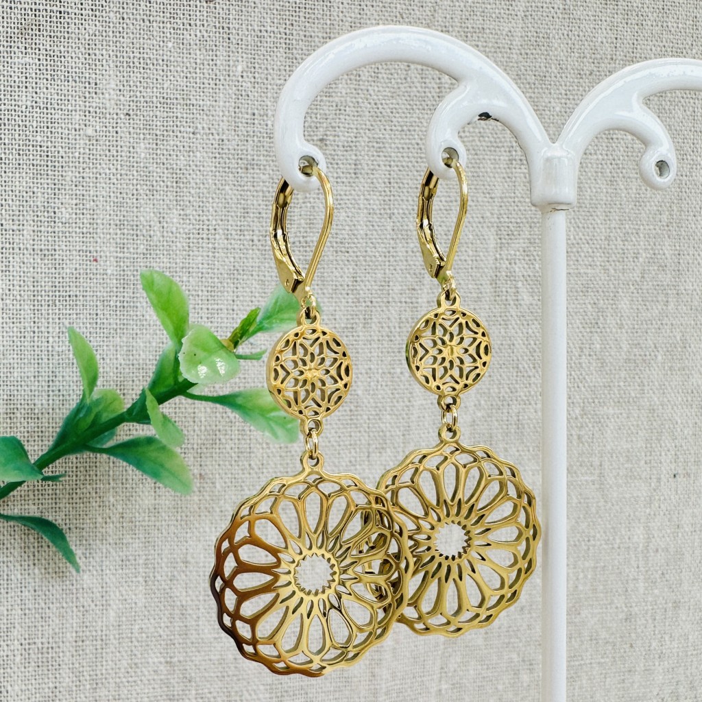 Stainless steel hoop earrings