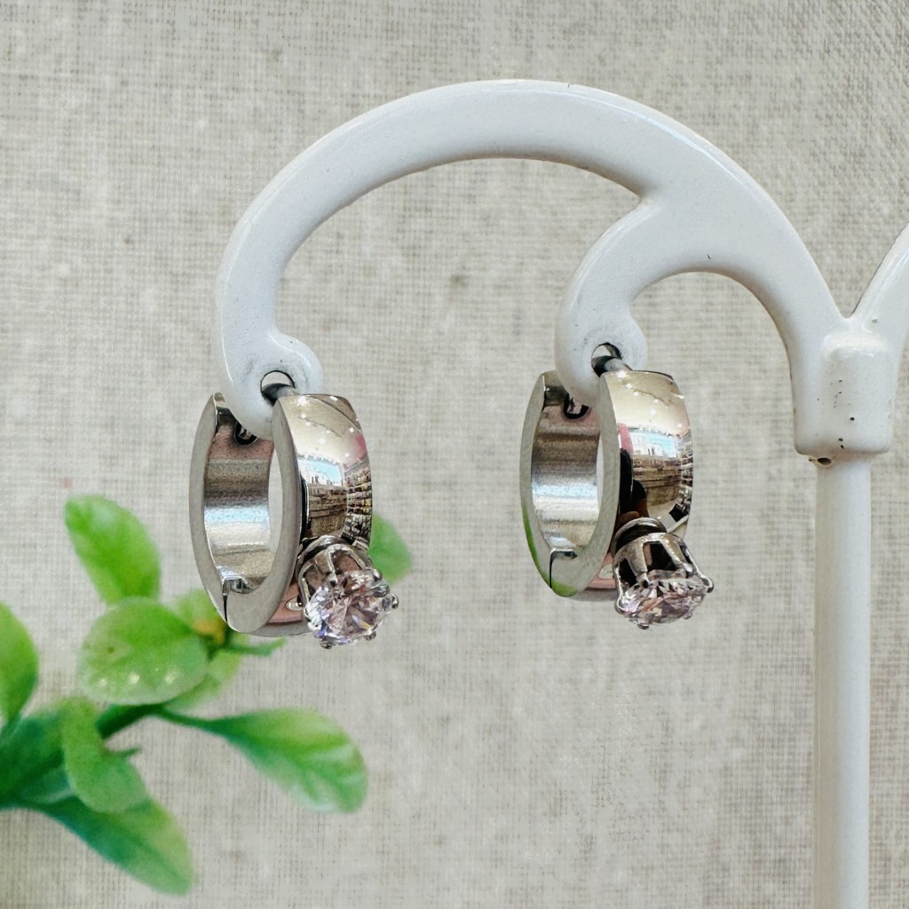 Stainless steel hoop earrings