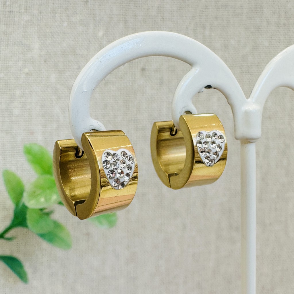 Stainless steel hoop earrings