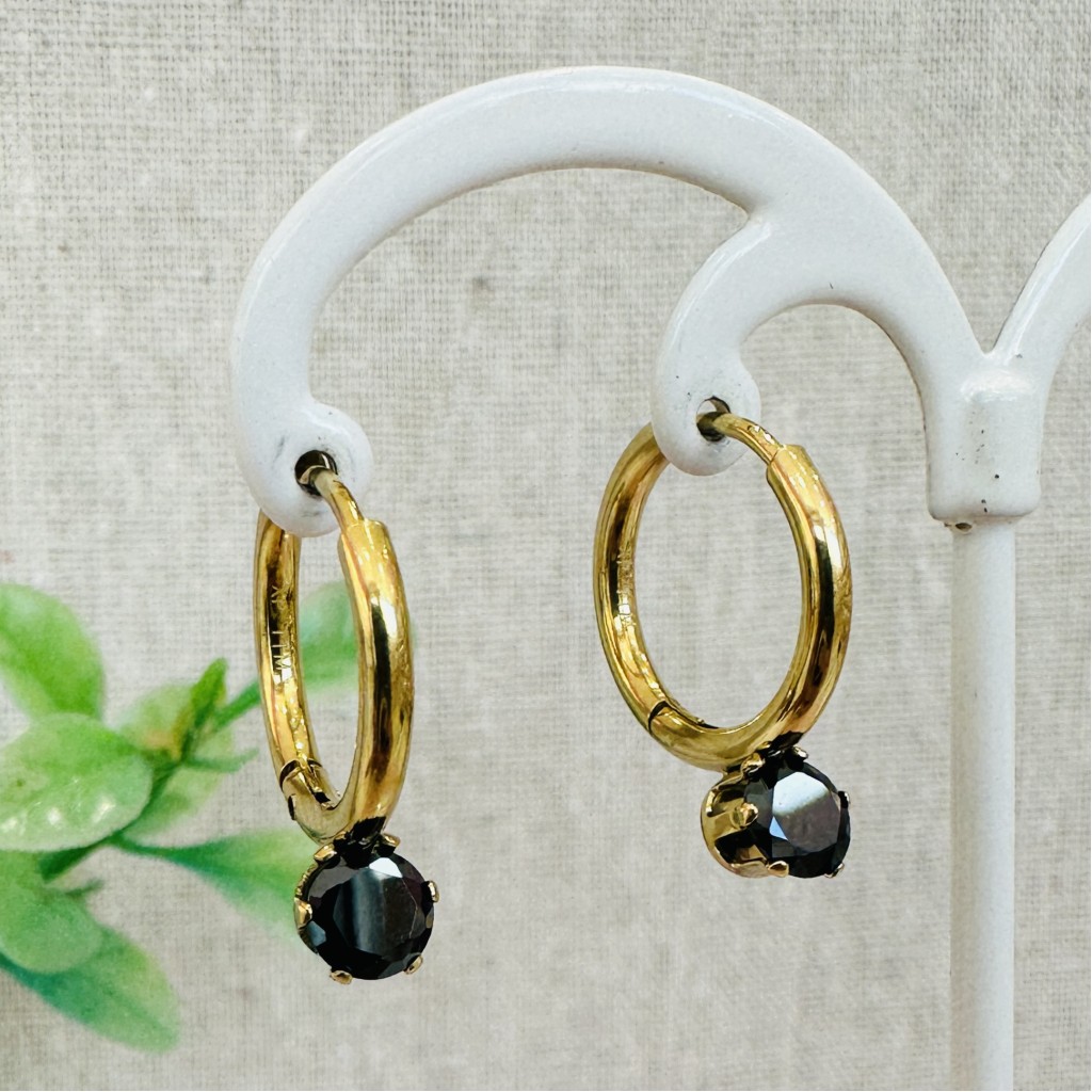 Stainless steel hoop earrings