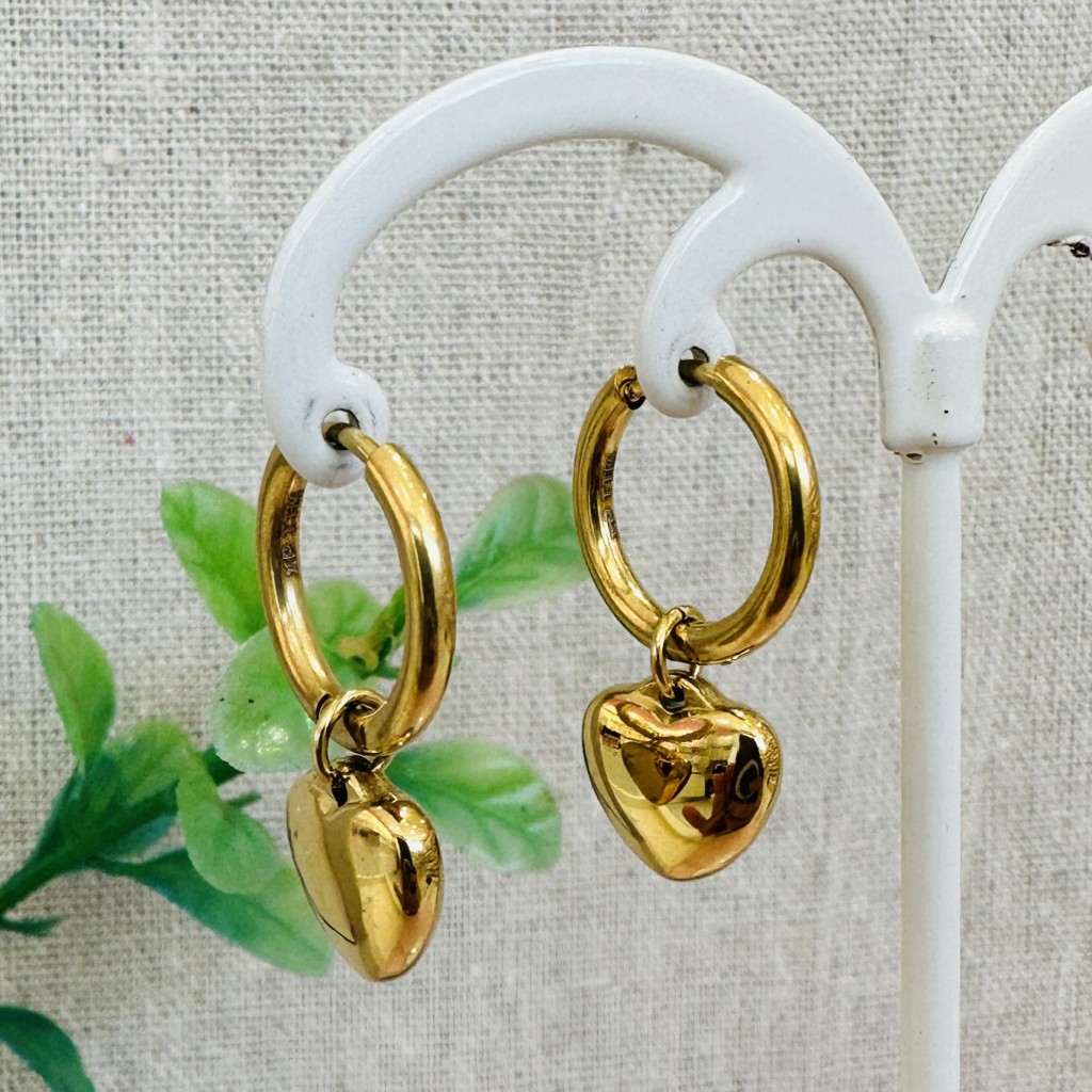 Stainless steel hoop earrings