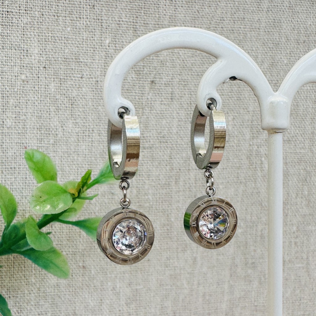 Stainless steel hoop earrings