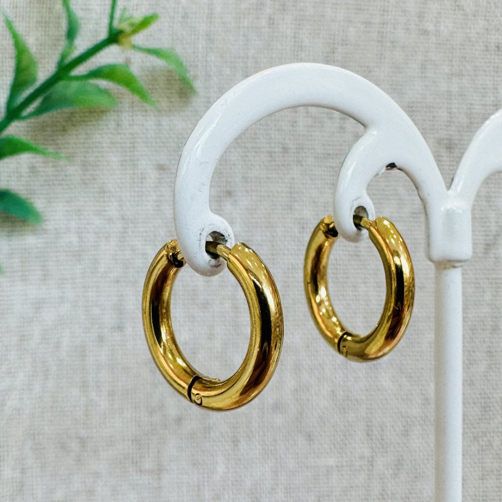 Stainless steel 10mm hoop earrings