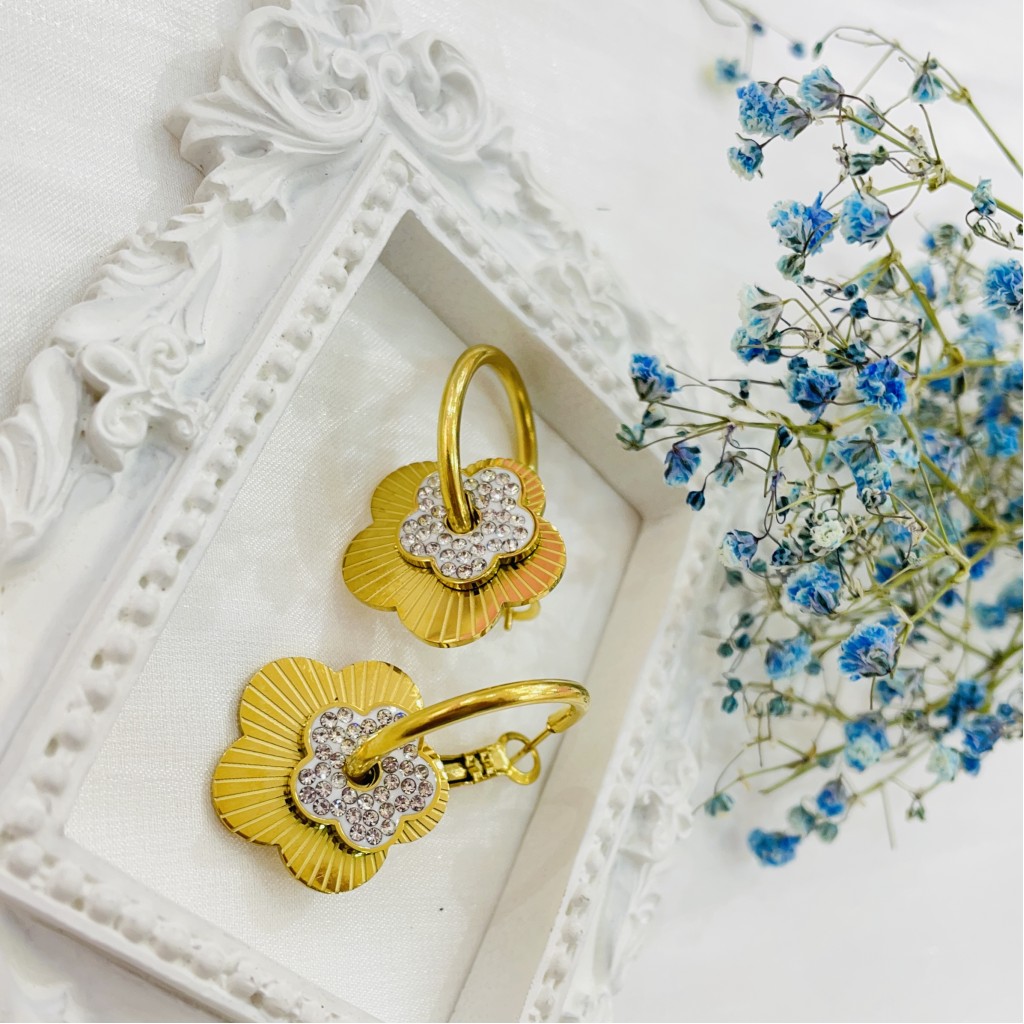 Stainless steel hoop earrings