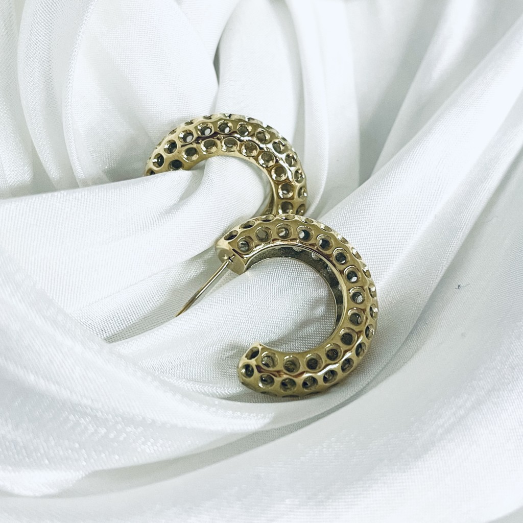 Stainless steel hoop earrings