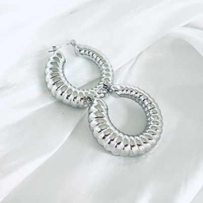 Stainless steel hoop earrings