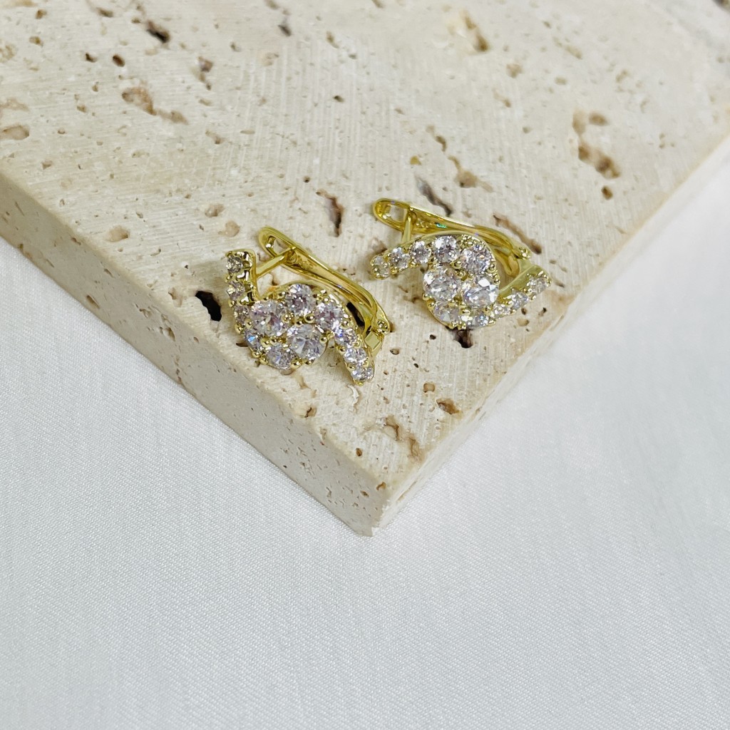 Stainless steel hoop earrings