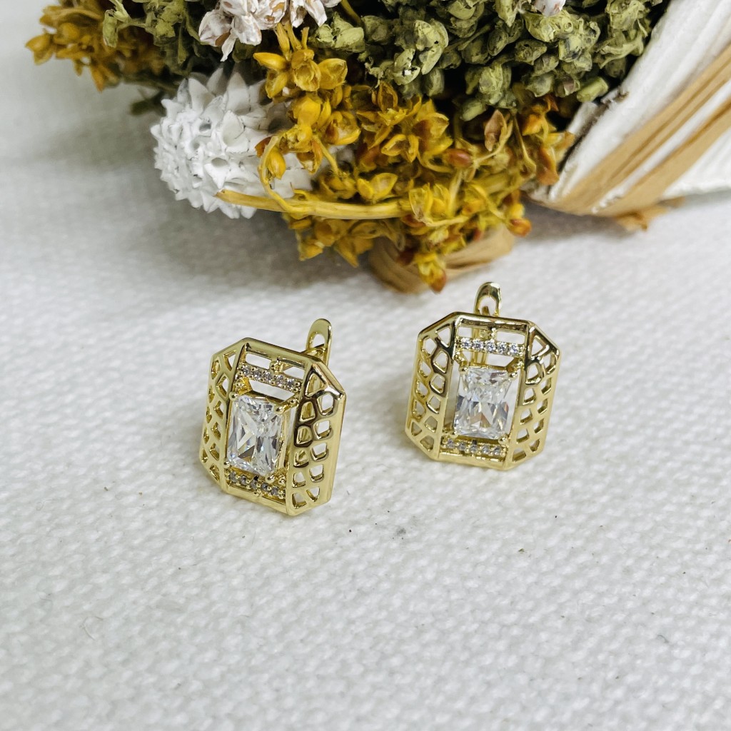 Stainless steel hoop earrings