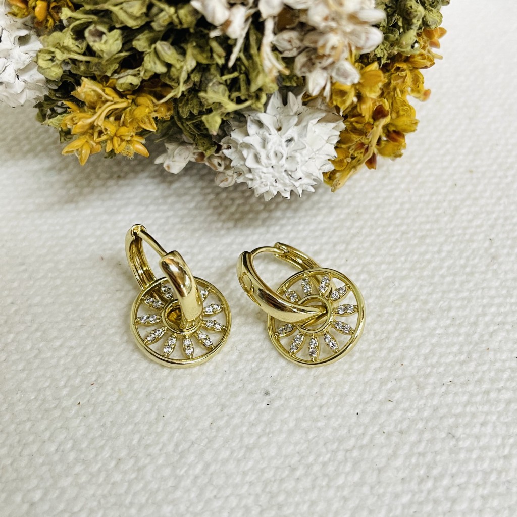 Stainless steel hoop earrings