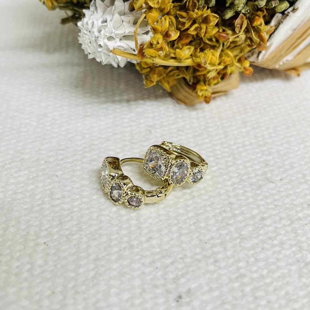 Stainless steel hoop earrings