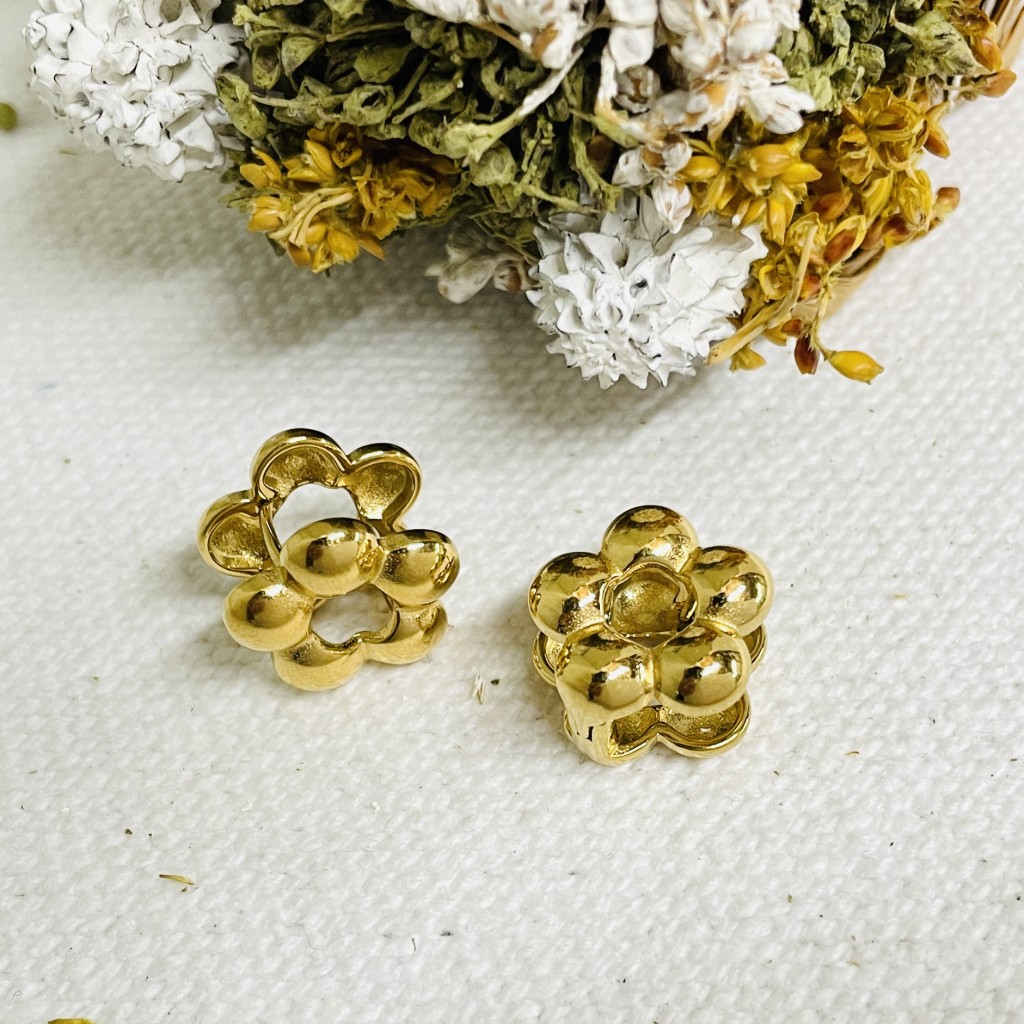 Stainless steel earrings