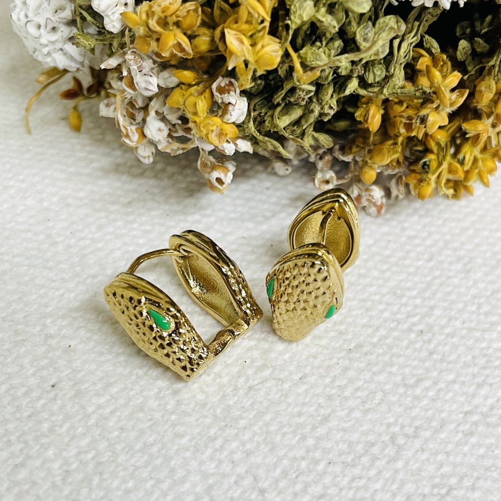 Stainless steel earrings