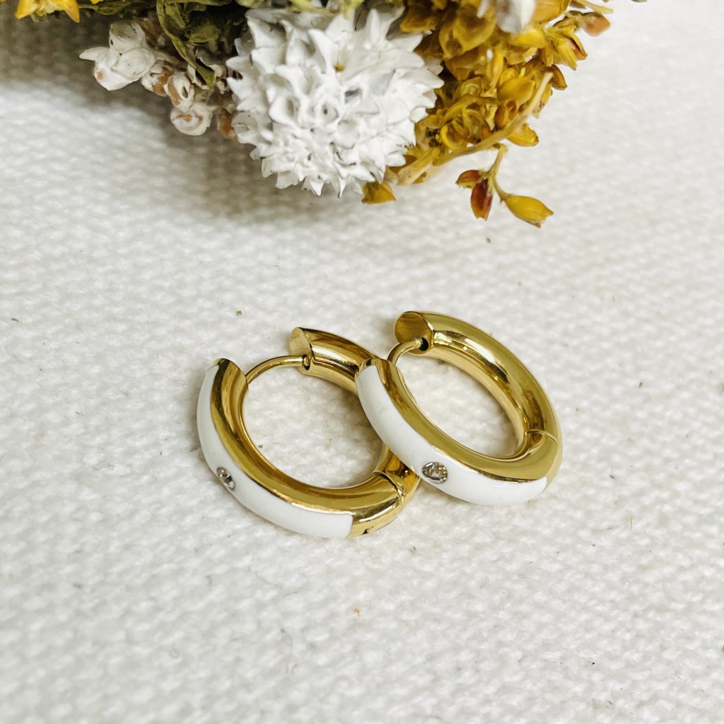 Stainless steel earrings