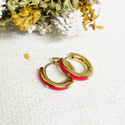 Stainless steel earrings