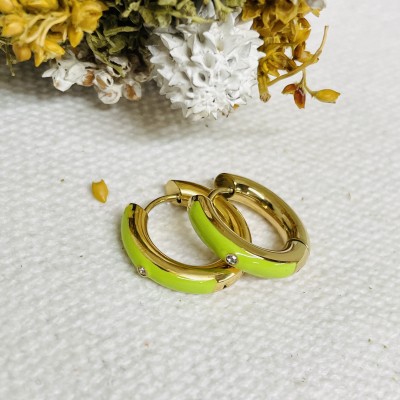 Stainless steel earrings