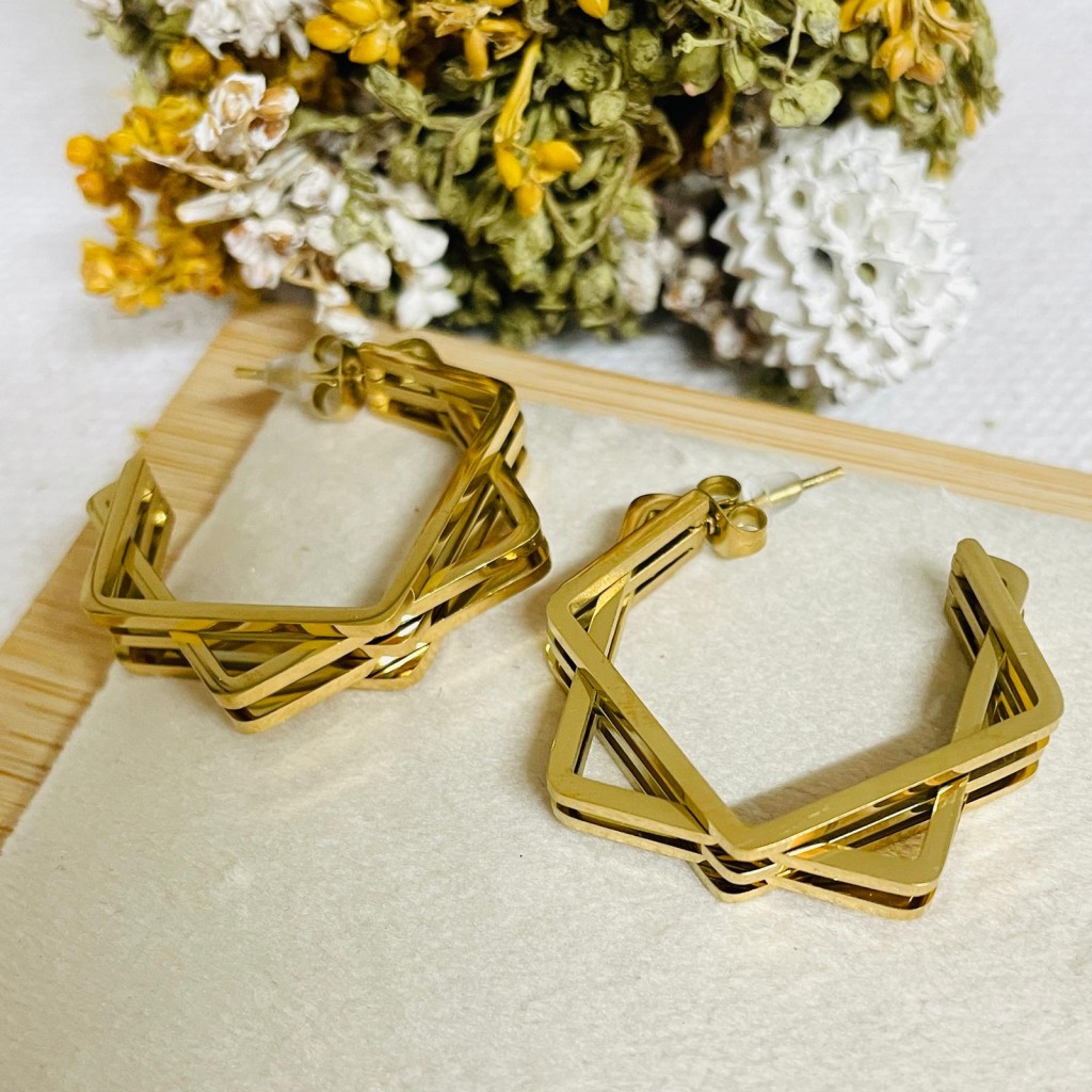 Stainless steel earrings