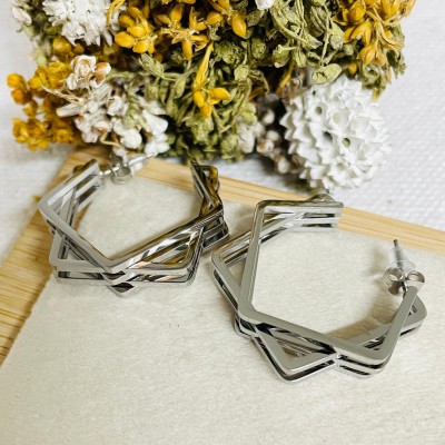 Stainless steel earrings