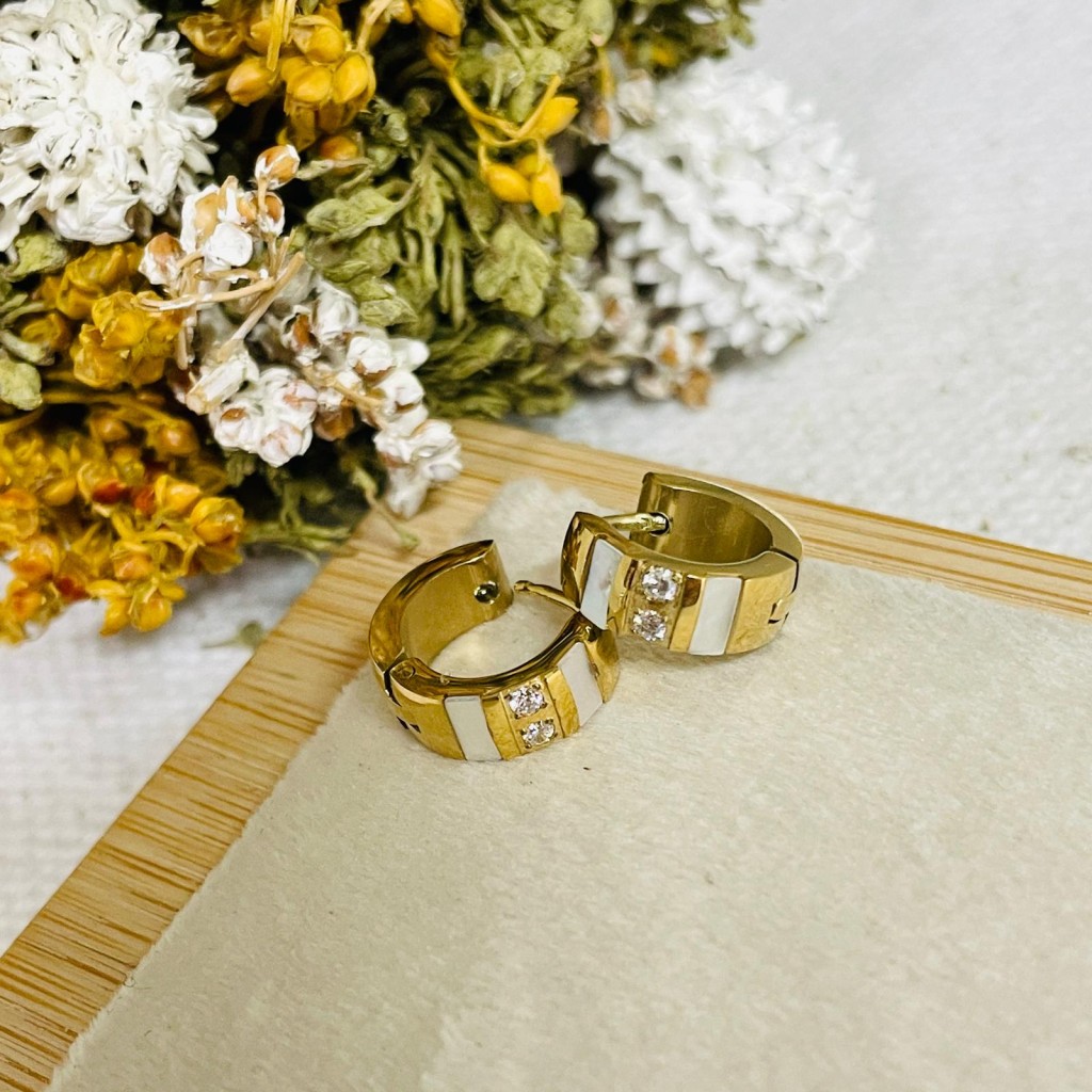 Stainless steel earrings