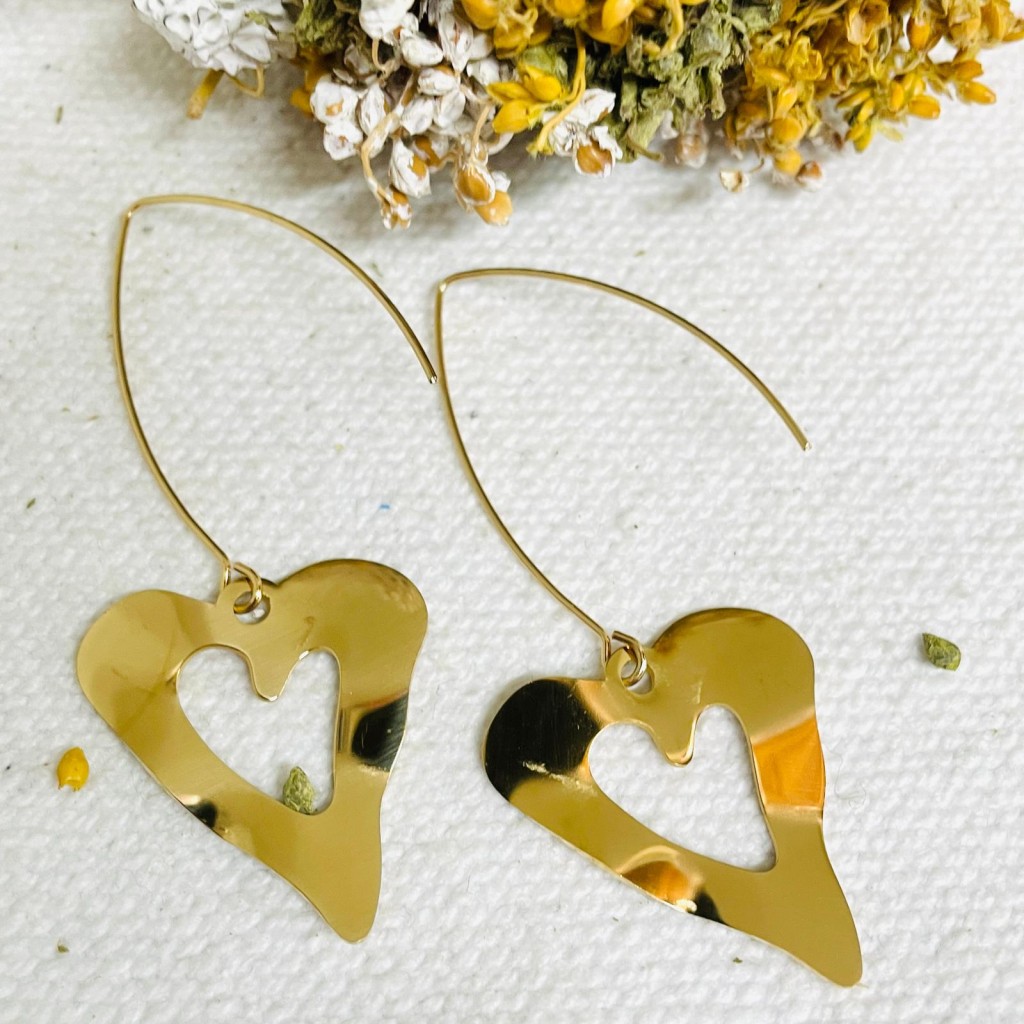 Stainless steel earrings