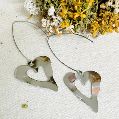 Stainless steel earrings