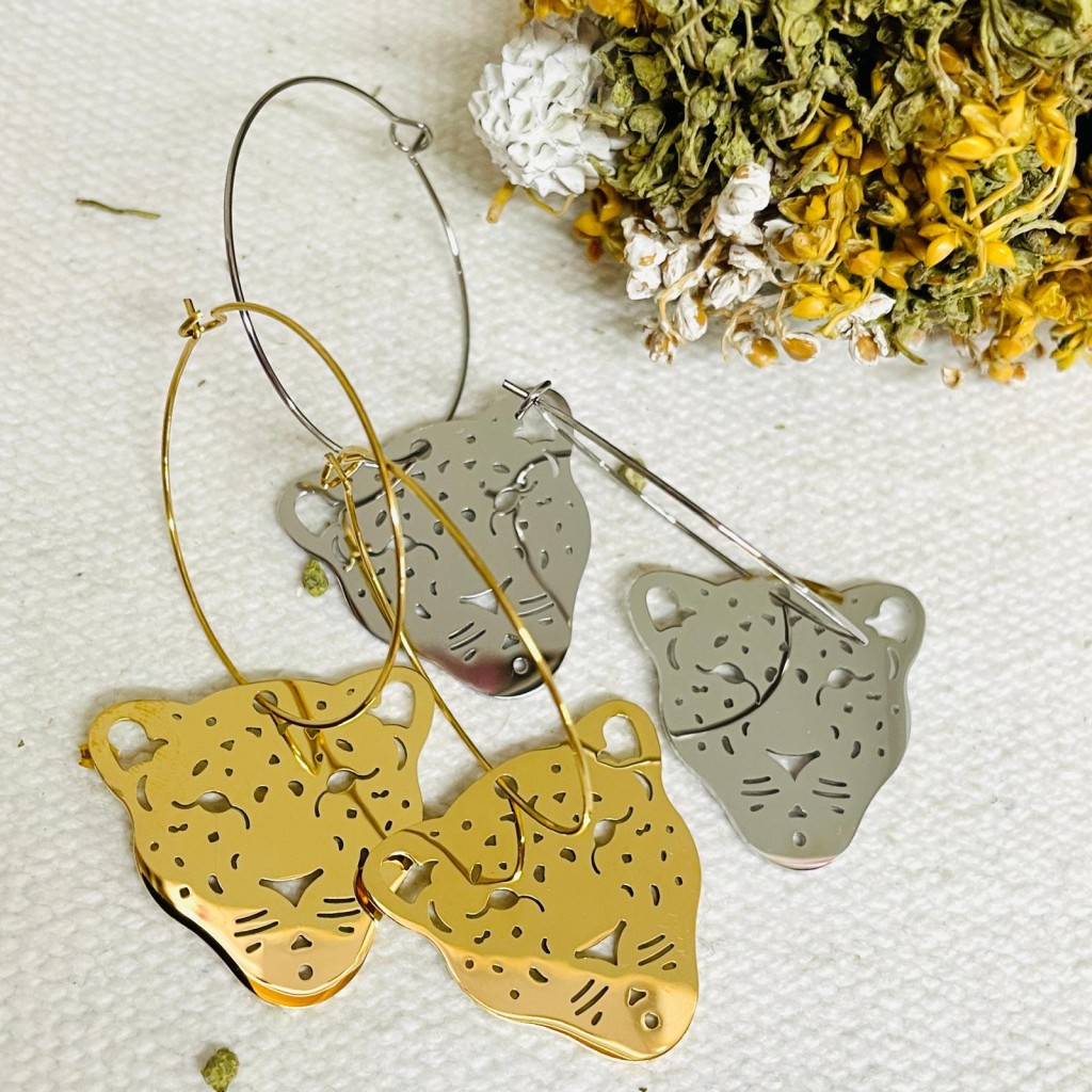 Stainless steel earrings