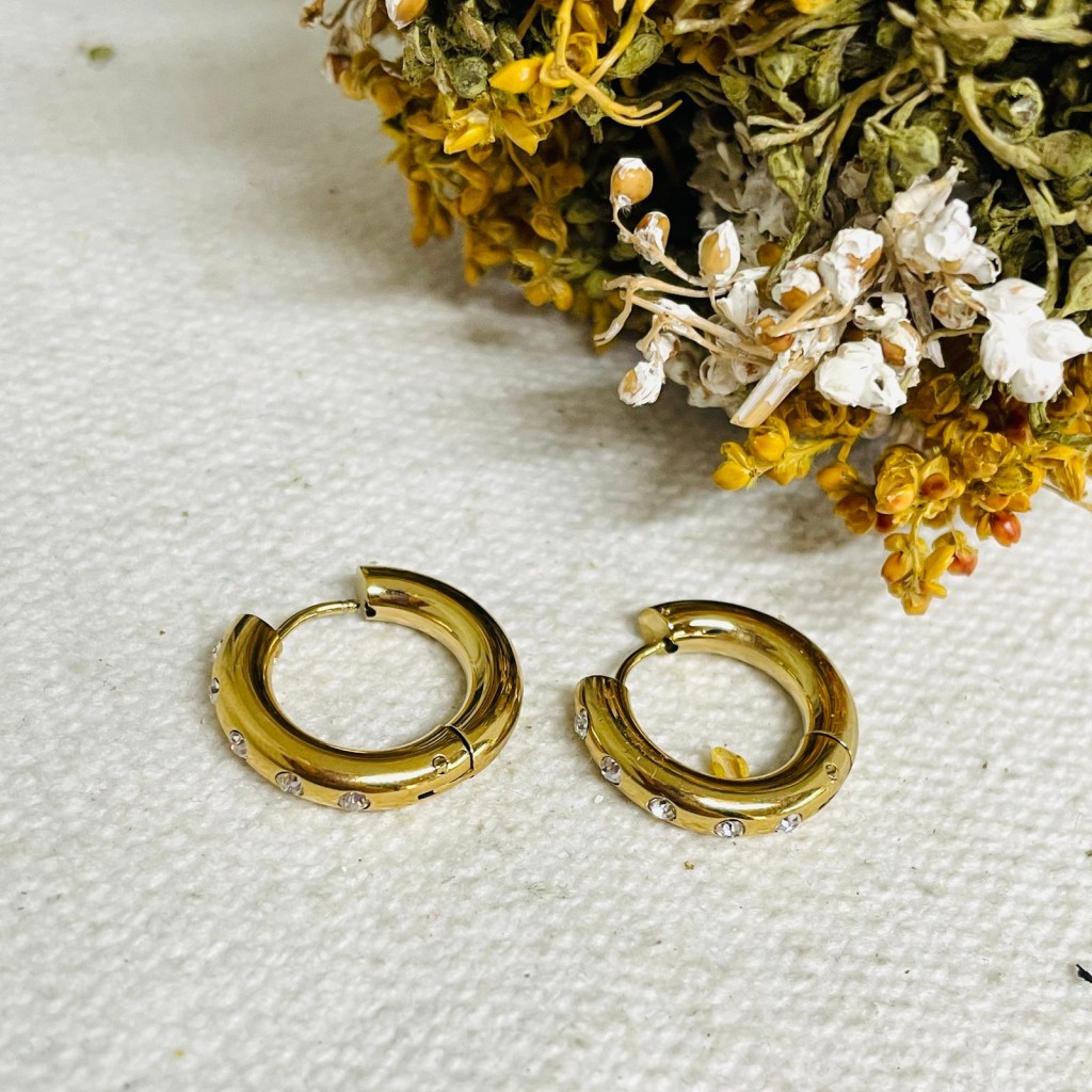 Earrings stainless steel