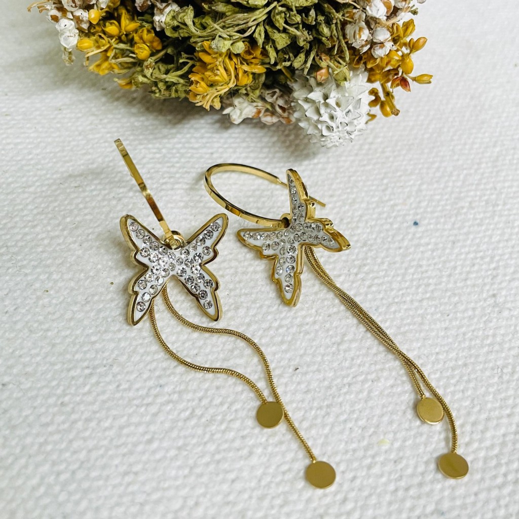 Earrings stainless steel