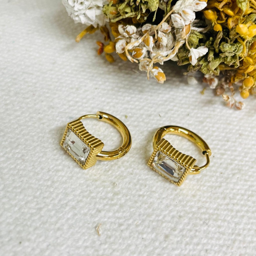 Earrings stainless steel