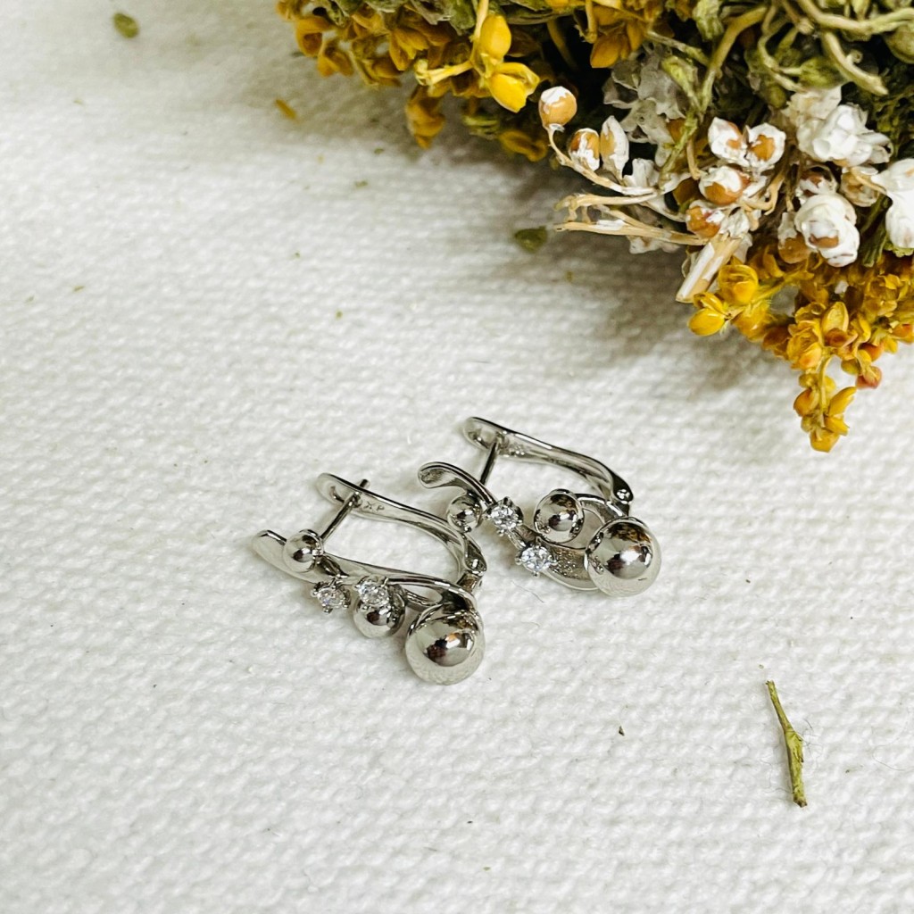 Earrings stainless steel