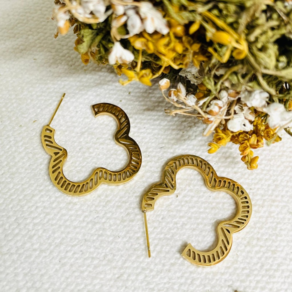 Earrings stainless steel