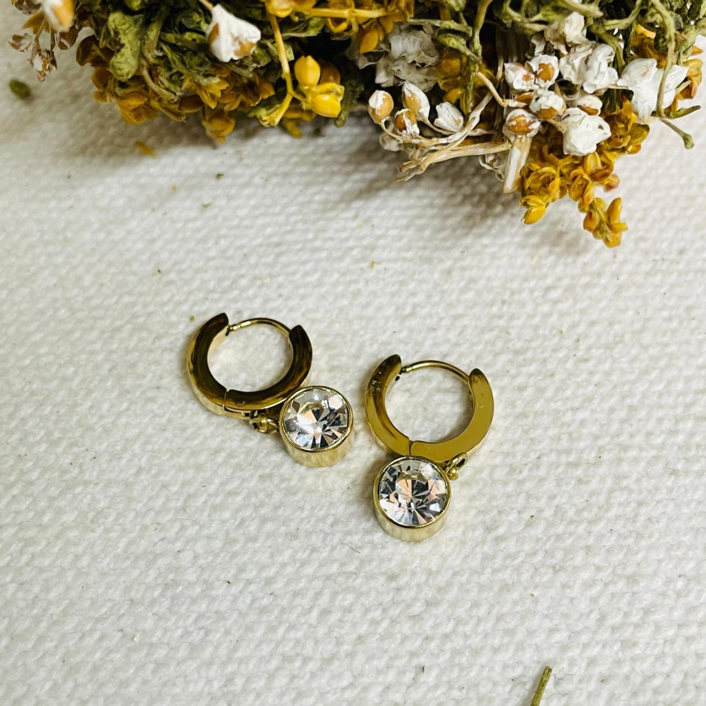 Earrings stainless steel