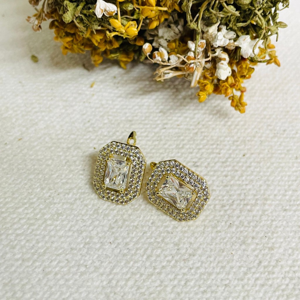 Earrings stainless steel