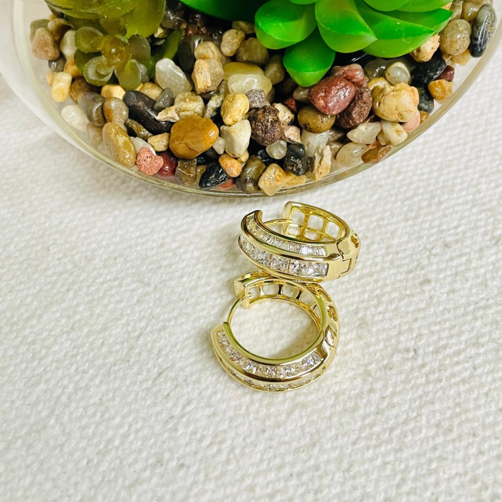 Earrings stainless steel