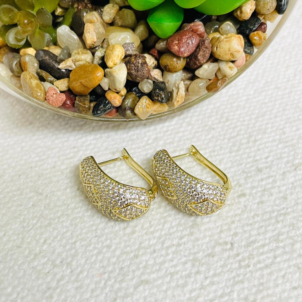 Earrings stainless steel
